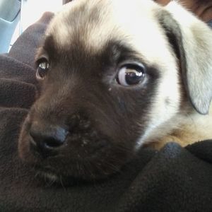 Meet your Posher, Schuranda